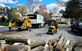 Leaf Removal in The Villages, FL